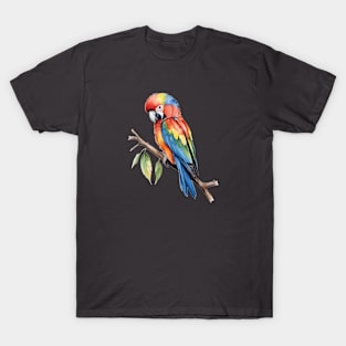 Rainbow Parrot - Joy of Colour T-Shirt